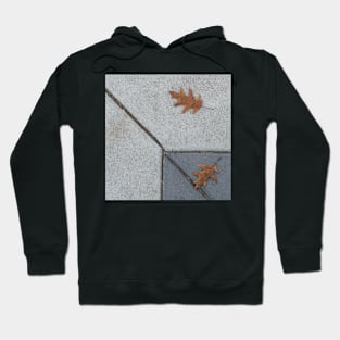 Fall Sidewalk Hoodie